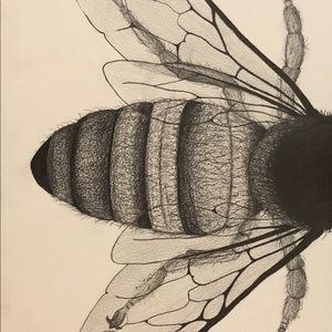 Meet your Posher, Sydney